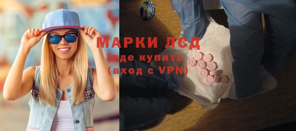 шишки Заволжье