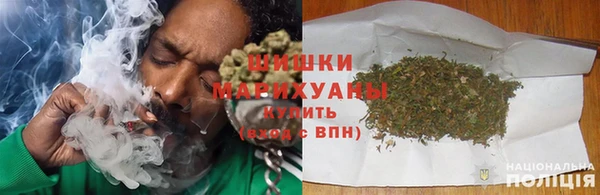 шишки Заволжье