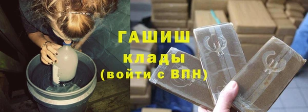 шишки Заволжье