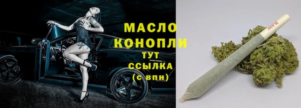 шишки Заволжье