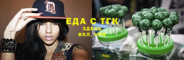шишки Заволжье