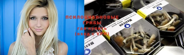 ECSTASY Заволжск