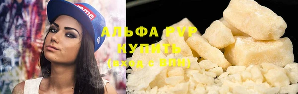 шишки Заволжье