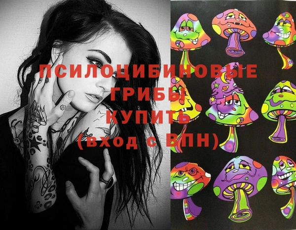 ECSTASY Заволжск