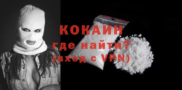 шишки Заволжье
