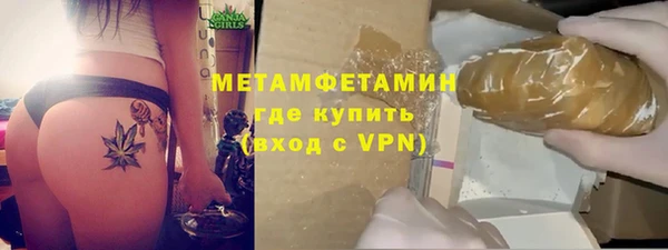 шишки Заволжье