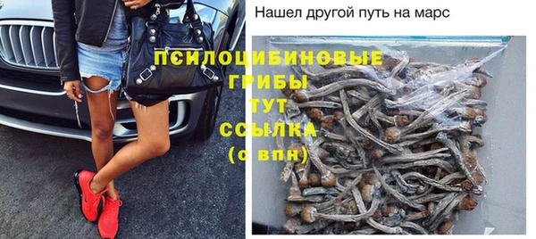 шишки Заволжье