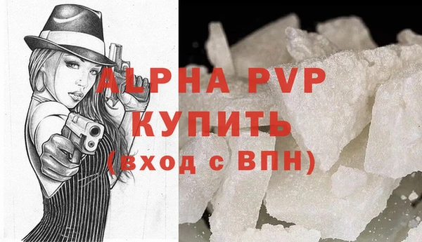шишки Заволжье