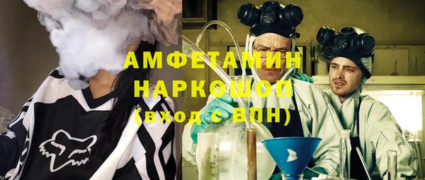 шишки Заволжье