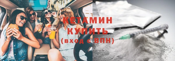 шишки Заволжье