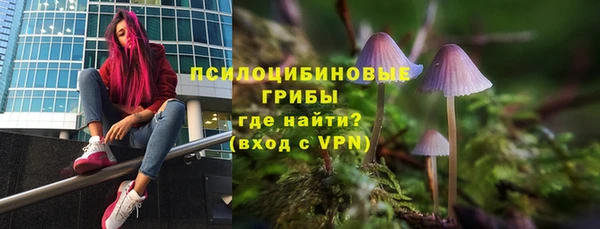 ECSTASY Заволжск