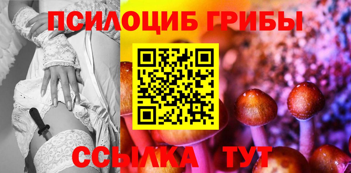 Псилоцибиновые грибы Magic Shrooms Сланцы